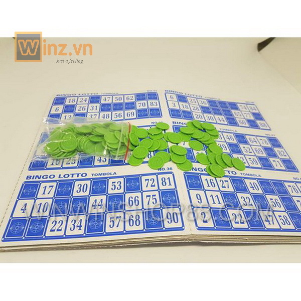 Bộ đồ chơi Bingo Lotto trí tuệ V.2 Quận 12