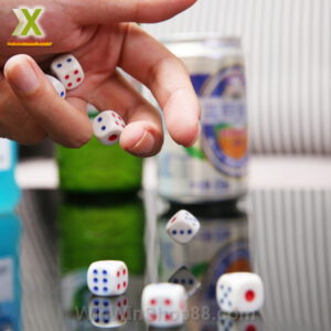 Bộ 6 Xúc Xắc Xí Ngầu Chất Lượng Cao - Hình ảnh 2