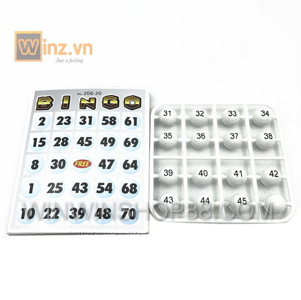 Bộ đồ chơi Bingo Lotto trí tuệ