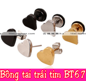 Bông tai trái tim BT67