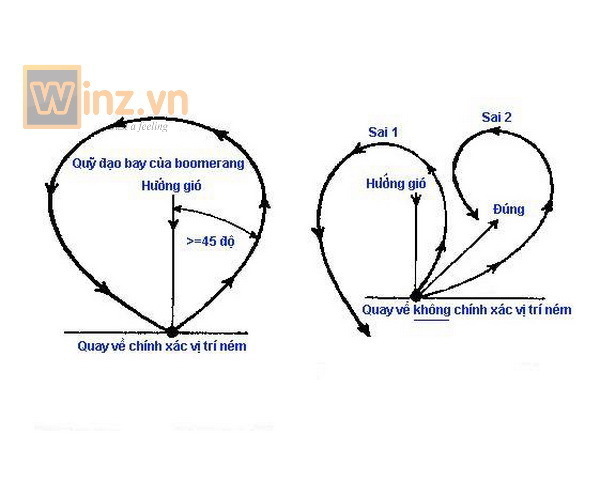 Boomerang-3-canh-V2