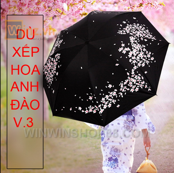 Du-xep-hoa-anh-dao-V3