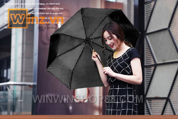 cây dù đen