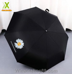 Dù xếp hoa cúc daisy Hàn Quốc - Hình ảnh 3