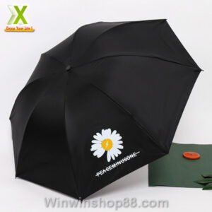 Dù xếp hoa cúc daisy Hàn Quốc - Hình ảnh 2