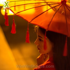 Ô dù múa Nhật Bản tua rua retro - Hình ảnh 4