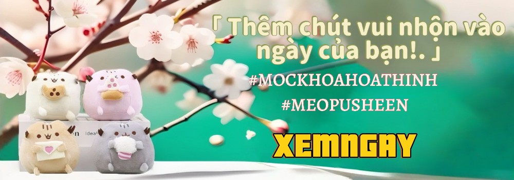 mua-home-2-quan-8